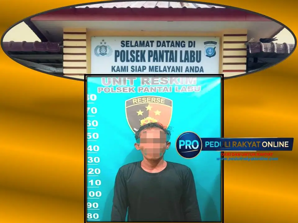 Nujul, Terduga Pelaku Penganiayaan Menggunakan Senjata Tajam ditangkap Apara Polsek Pantai Labu Kurang Dari Satu Jam,